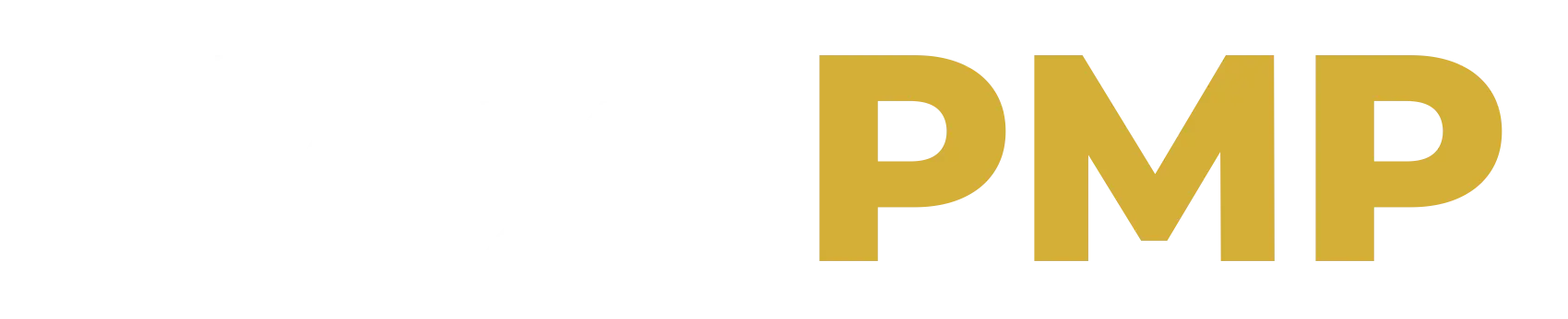 NextPMP — Asesoría 1 a 1 Premium